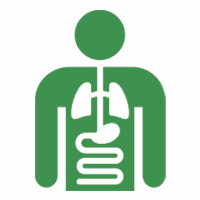 Sindirim Sistemi Hastalıkları