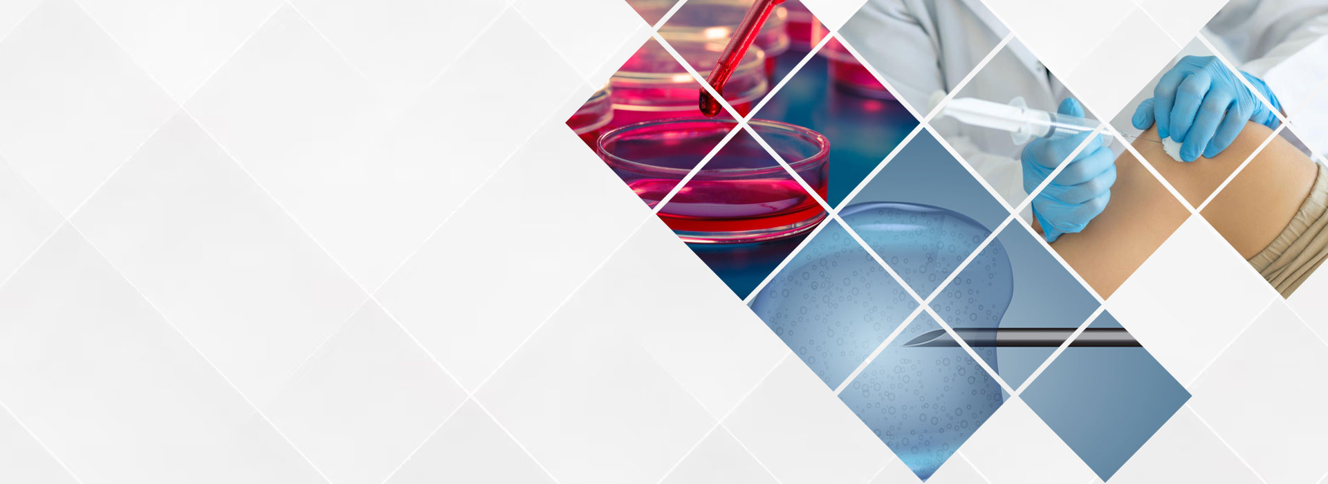 Kök Hücre Tedavisi