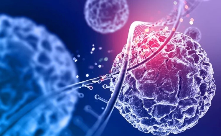 Kök Hücre Tedavileri