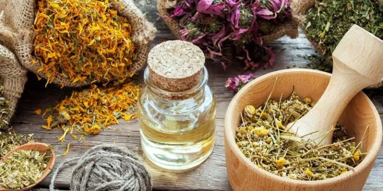 Fitoterapi Nedir? Tıbbi Bitkilerle Tedavinin Faydaları