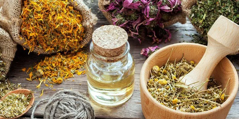 Fitoterapi Nedir? Tıbbi Bitkilerle Tedavinin Faydaları